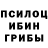 Галлюциногенные грибы Psilocybine cubensis Jack Heppell