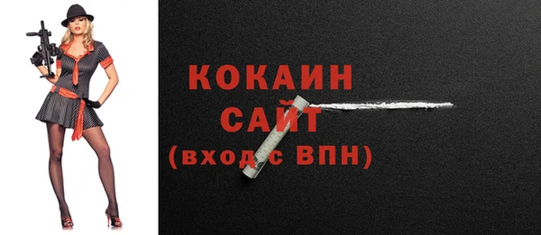 прущий лед Алзамай