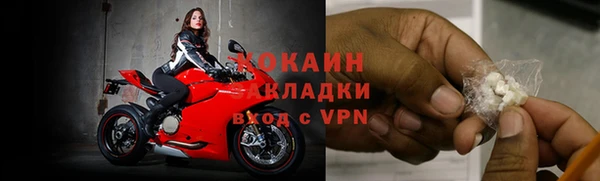 прущий лед Алзамай