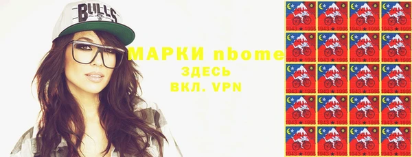 шишки Шадринск