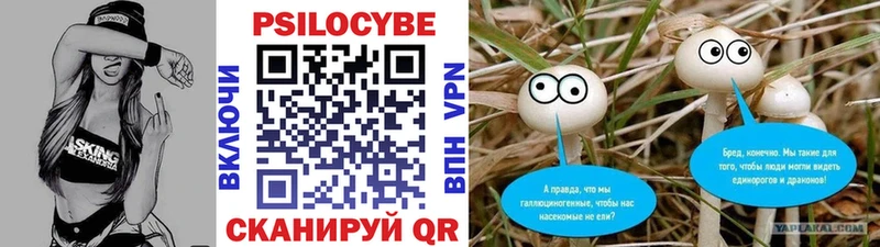 Галлюциногенные грибы Psilocybe  блэк спрут ССЫЛКА  Биробиджан 